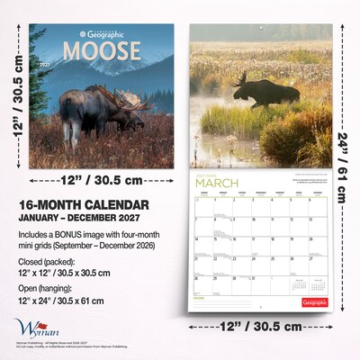 2027 BrownTrout Canadian Geographic Moose 12" x 12" Monthly Wall Calendar (9781525617560)