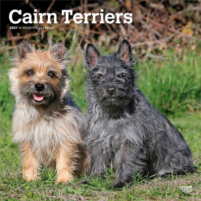 2027 BrownTrout Cairn Terriers 12 x 12 Monthly Wall Calendar (9798330712342)