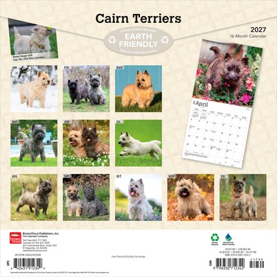 2027 BrownTrout Cairn Terriers 12 x 12 Monthly Wall Calendar (9798330712342)