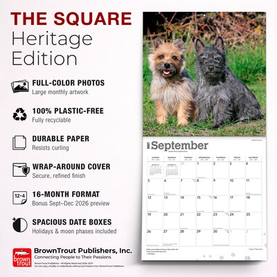 2027 BrownTrout Cairn Terriers 12" x 12" Monthly Wall Calendar (9798330712342)