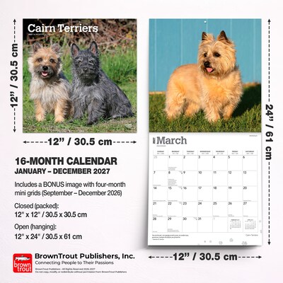 2027 BrownTrout Cairn Terriers 12" x 12" Monthly Wall Calendar (9798330712342)
