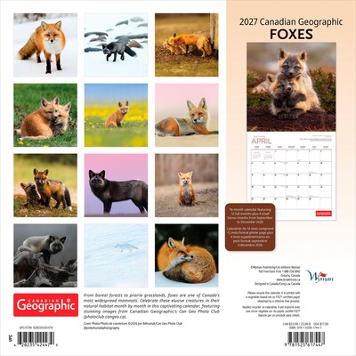 2027 BrownTrout Canadian Geographic Foxes 12 x 12 Monthly Wall Calendar (9781525617447)