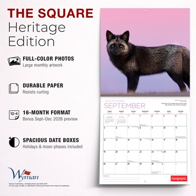 2027 BrownTrout Canadian Geographic Foxes 12" x 12" Monthly Wall Calendar (9781525617447)