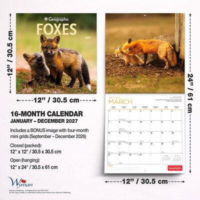 2027 BrownTrout Canadian Geographic Foxes 12" x 12" Monthly Wall Calendar (9781525617447)