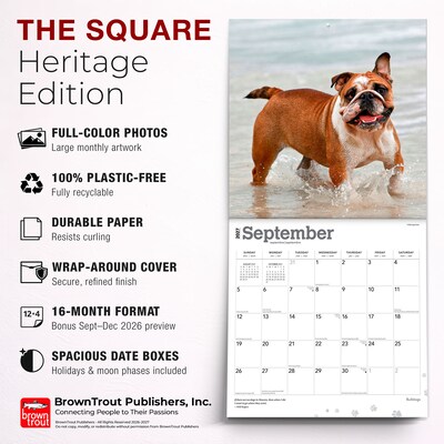 2027 BrownTrout Bulldogs 12" x 12" Monthly Wall Calendar (9798330712335)