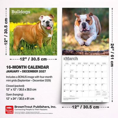 2027 BrownTrout Bulldogs 12" x 12" Monthly Wall Calendar (9798330712335)