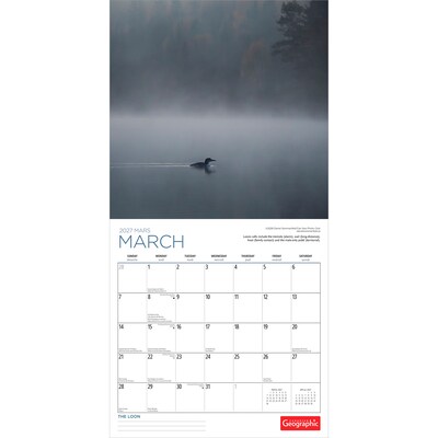 2027 BrownTrout Canadian Geographic The Loon 12" x 12" Monthly Wall Calendar (9781525617805)