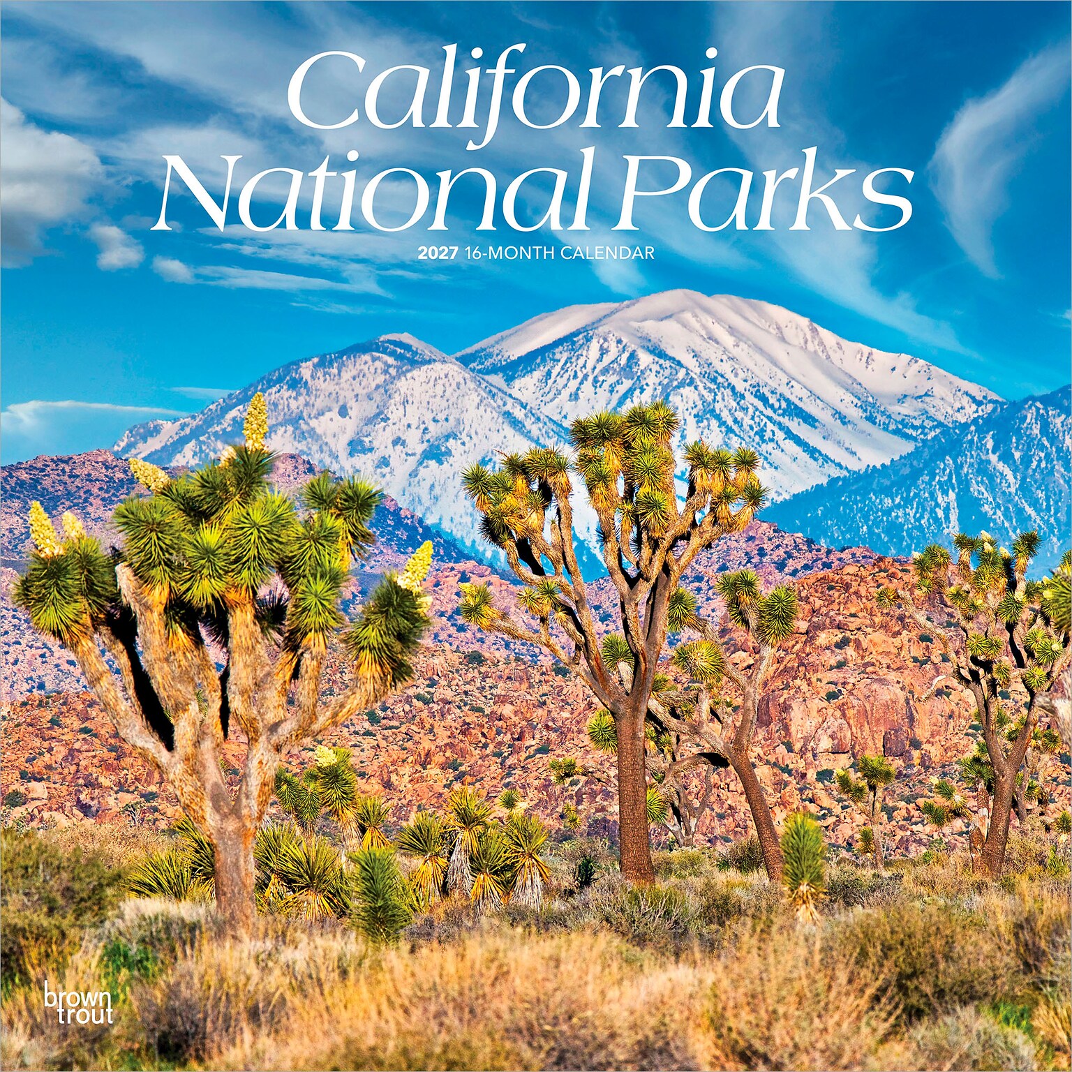 2027 BrownTrout California National Parks 12 x 12 Monthly Wall Calendar (9798330710430)