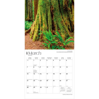 2027 BrownTrout California National Parks 12" x 12" Monthly Wall Calendar (9798330710430)
