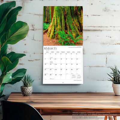 2027 BrownTrout California National Parks 12" x 12" Monthly Wall Calendar (9798330710430)