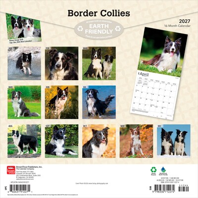 2027 BrownTrout Border Collies 12 x 12 Monthly Wall Calendar (9798330712274)