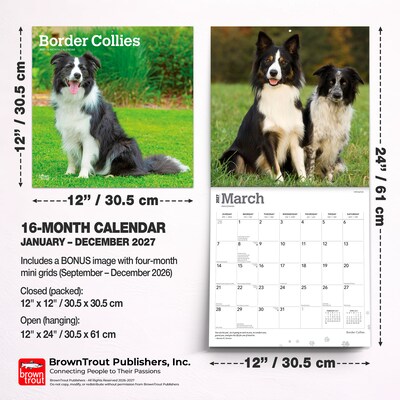 2027 BrownTrout Border Collies 12" x 12" Monthly Wall Calendar (9798330712274)