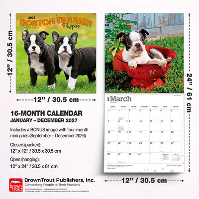 2027 BrownTrout Boston Terrier Puppies 12" x 12" Monthly Wall Calendar (9798330712281)