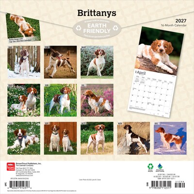 2027 BrownTrout Brittanys 12 x 12 Monthly Wall Calendar (9798330712311)