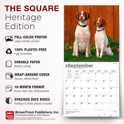 2027 BrownTrout Brittanys 12" x 12" Monthly Wall Calendar (9798330712311)