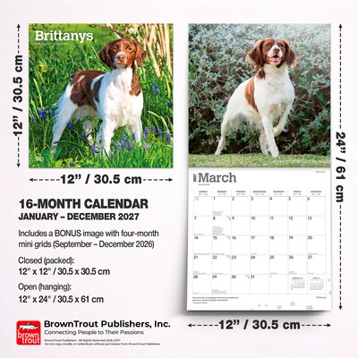 2027 BrownTrout Brittanys 12" x 12" Monthly Wall Calendar (9798330712311)