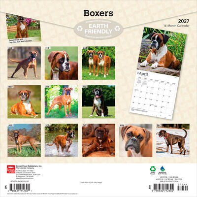 2027 BrownTrout Boxers International Edition 12 x 12 Monthly Wall Calendar (9798330712304)