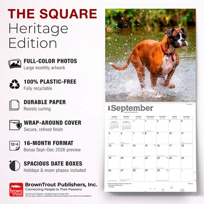 2027 BrownTrout Boxers International Edition 12" x 12" Monthly Wall Calendar (9798330712304)