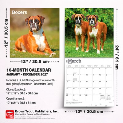 2027 BrownTrout Boxers International Edition 12" x 12" Monthly Wall Calendar (9798330712304)