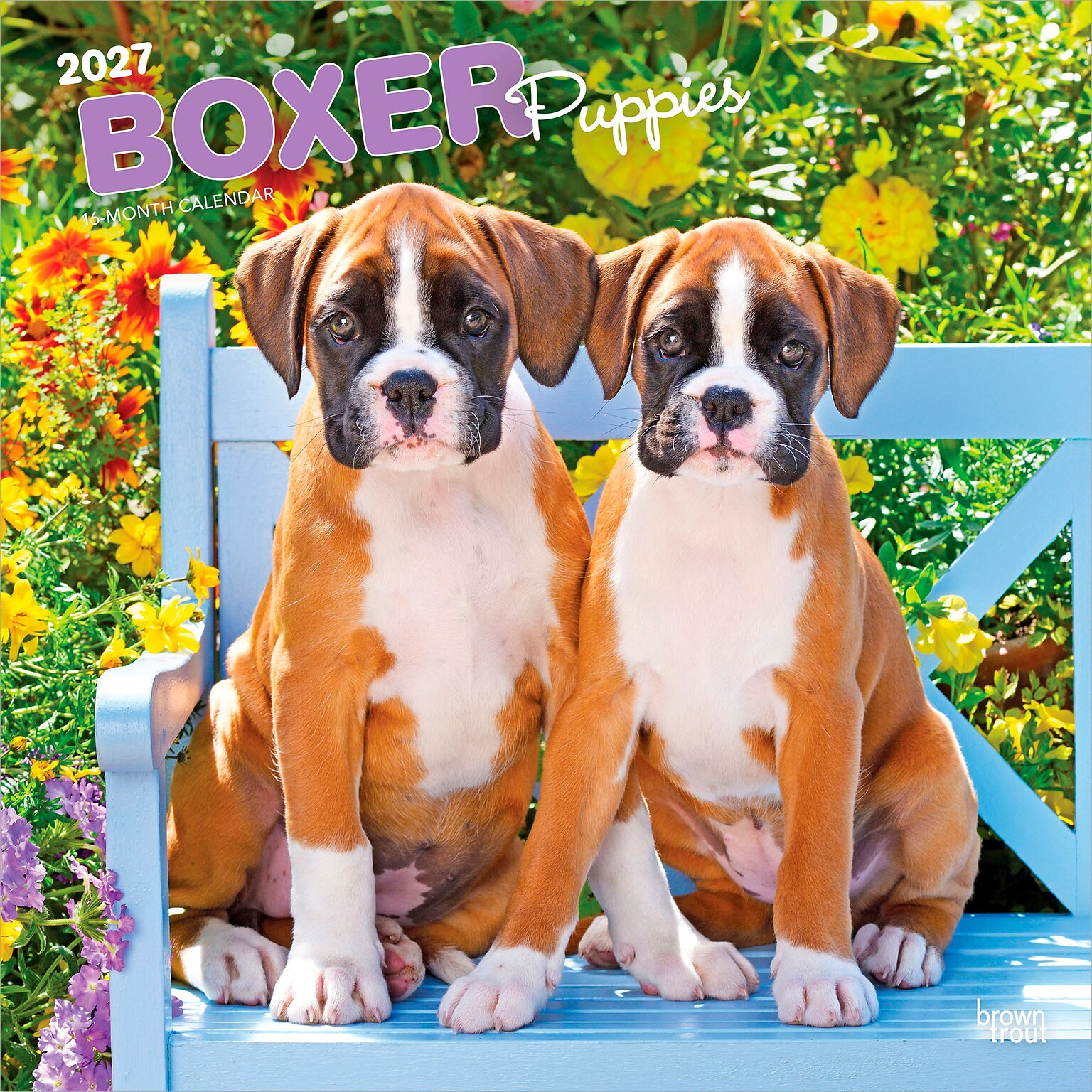 2027 BrownTrout Boxer Puppies 12 x 12 Monthly Wall Calendar (9798330714117)