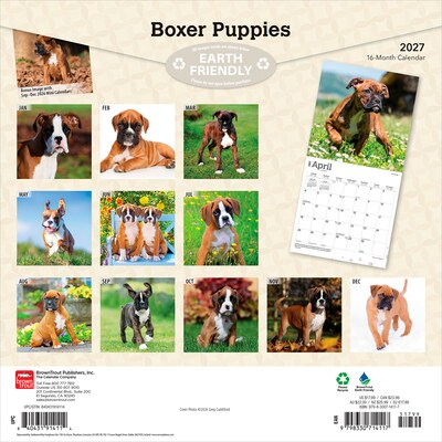 2027 BrownTrout Boxer Puppies 12 x 12 Monthly Wall Calendar (9798330714117)