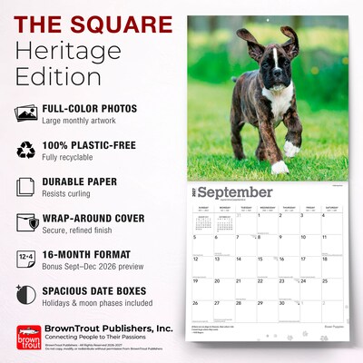 2027 BrownTrout Boxer Puppies 12" x 12" Monthly Wall Calendar (9798330714117)