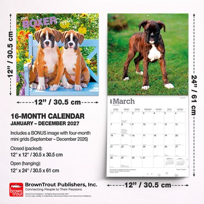 2027 BrownTrout Boxer Puppies 12" x 12" Monthly Wall Calendar (9798330714117)