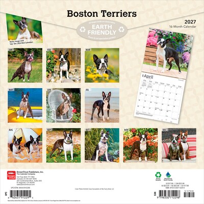 2027 BrownTrout Boston Terriers 12 x 12 Monthly Wall Calendar (9798330712298)