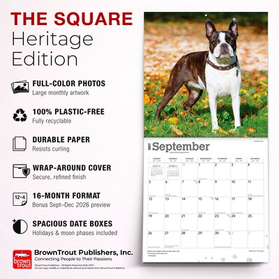2027 BrownTrout Boston Terriers 12" x 12" Monthly Wall Calendar (9798330712298)