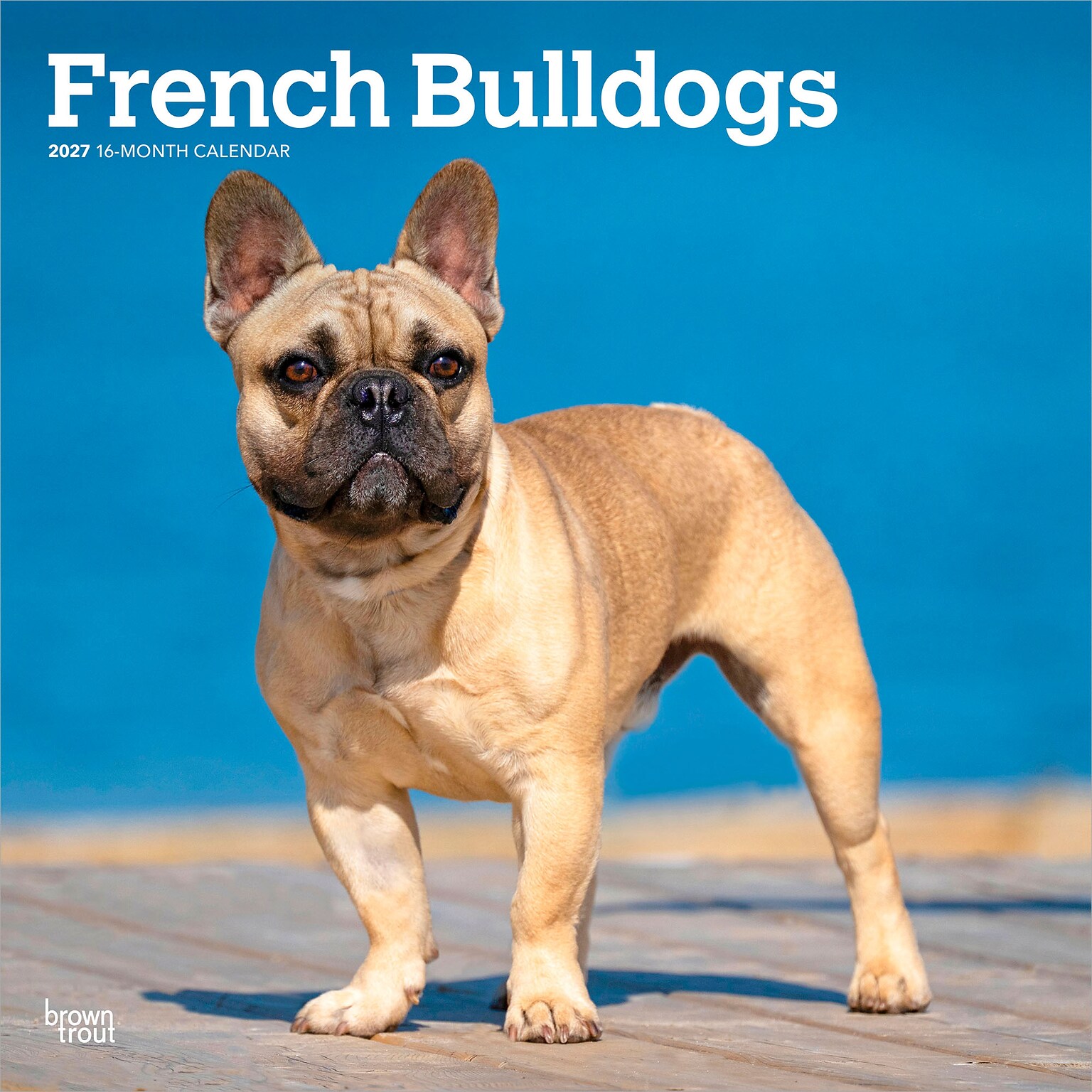 2027 BrownTrout French Bulldogs 12 x 12 Monthly Wall Calendar (9798330712434)