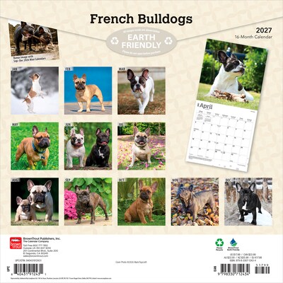 2027 BrownTrout French Bulldogs 12 x 12 Monthly Wall Calendar (9798330712434)