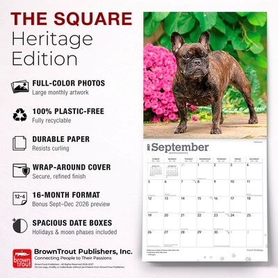 2027 BrownTrout French Bulldogs 12" x 12" Monthly Wall Calendar (9798330712434)