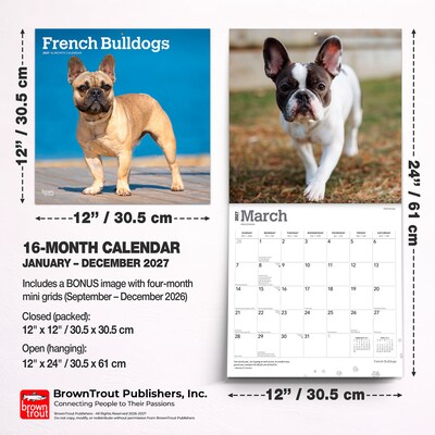 2027 BrownTrout French Bulldogs 12" x 12" Monthly Wall Calendar (9798330712434)