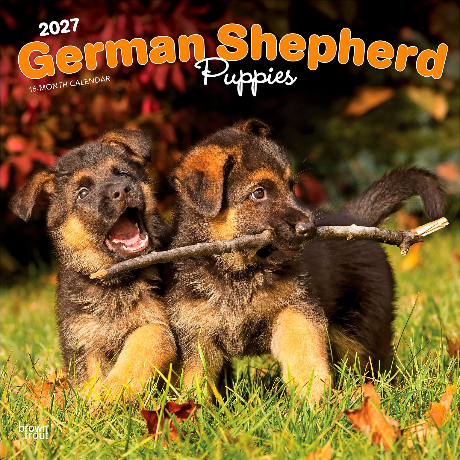 2027 BrownTrout German Shepherd Puppies 12 x 12 Monthly Wall Calendar (9798330714193)