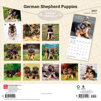 2027 BrownTrout German Shepherd Puppies 12 x 12 Monthly Wall Calendar (9798330714193)