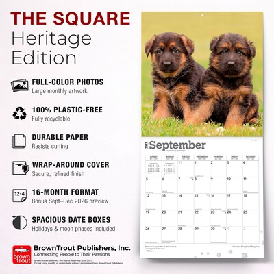 2027 BrownTrout German Shepherd Puppies 12" x 12" Monthly Wall Calendar (9798330714193)