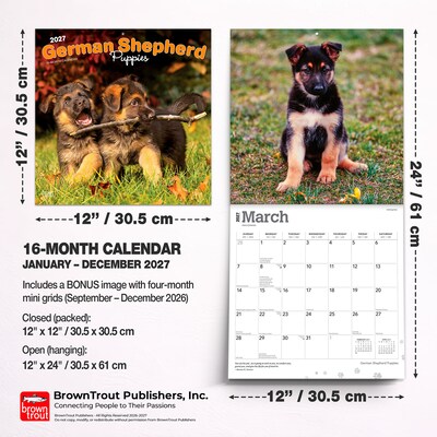 2027 BrownTrout German Shepherd Puppies 12" x 12" Monthly Wall Calendar (9798330714193)