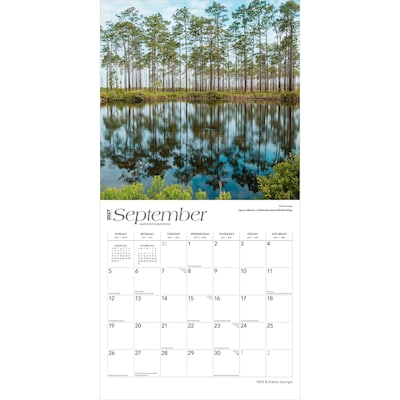 2027 BrownTrout Georgia Wild & Scenic 12" x 12" Monthly Wall Calendar (9798330710546)