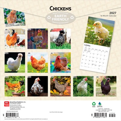 2027 BrownTrout Chickens 12 x 12 Monthly Wall Calendar (9798330711871)