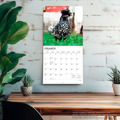 2027 BrownTrout Chickens 12" x 12" Monthly Wall Calendar (9798330711871)