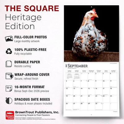 2027 BrownTrout Chickens 12" x 12" Monthly Wall Calendar (9798330711871)