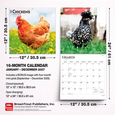 2027 BrownTrout Chickens 12" x 12" Monthly Wall Calendar (9798330711871)