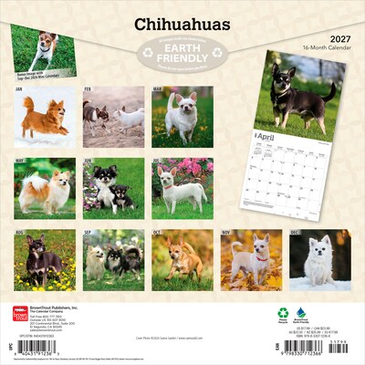 2027 BrownTrout Chihuahuas 12 x 12 Monthly Wall Calendar (9798330712366)
