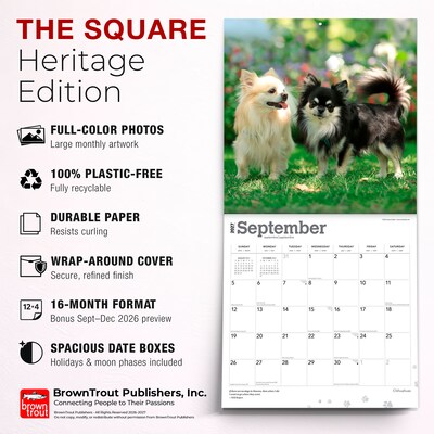 2027 BrownTrout Chihuahuas 12" x 12" Monthly Wall Calendar (9798330712366)