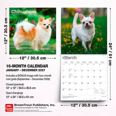 2027 BrownTrout Chihuahuas 12" x 12" Monthly Wall Calendar (9798330712366)