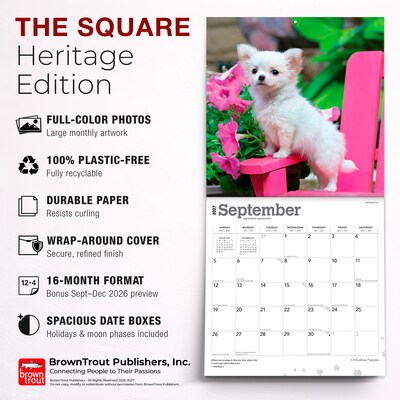 2027 BrownTrout Chihuahua Puppies 12" x 12" Monthly Wall Calendar (9798330712359)