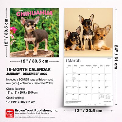 2027 BrownTrout Chihuahua Puppies 12" x 12" Monthly Wall Calendar (9798330712359)
