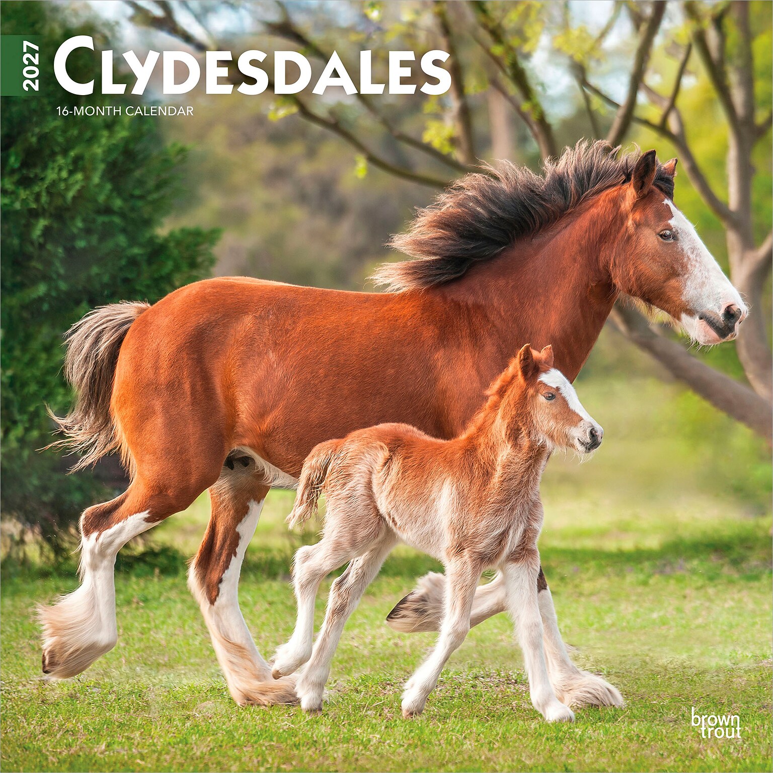 2027 BrownTrout Clydesdales 12 x 12 Monthly Wall Calendar (9798330711963)