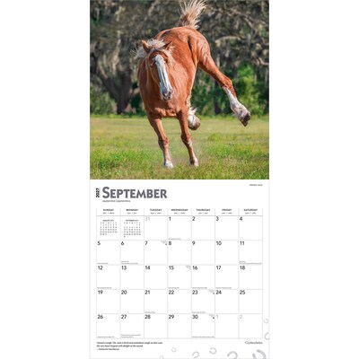 2027 BrownTrout Clydesdales 12" x 12" Monthly Wall Calendar (9798330711963)