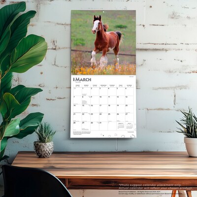 2027 BrownTrout Clydesdales 12" x 12" Monthly Wall Calendar (9798330711963)